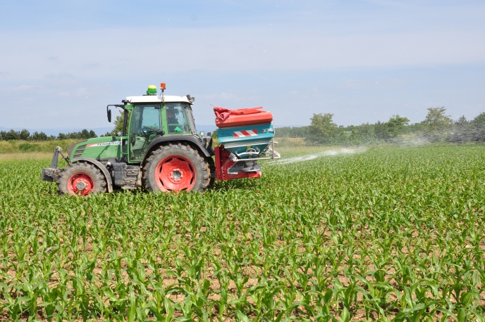 diapo fertiliser sol pour maïs