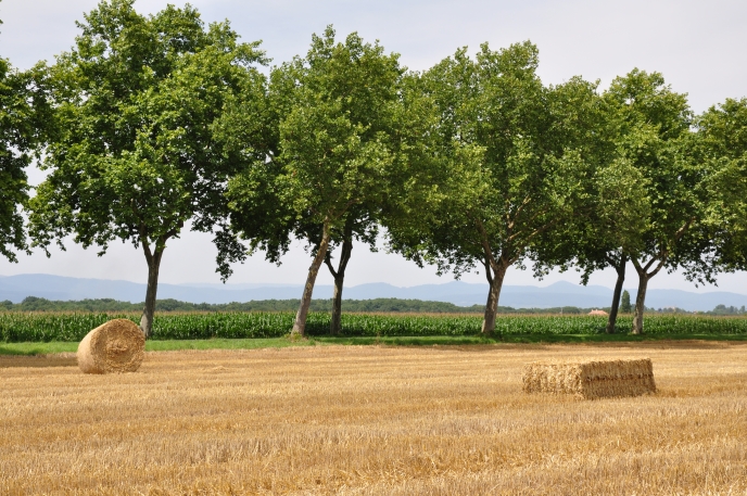 diapo Ferme en plaine paille