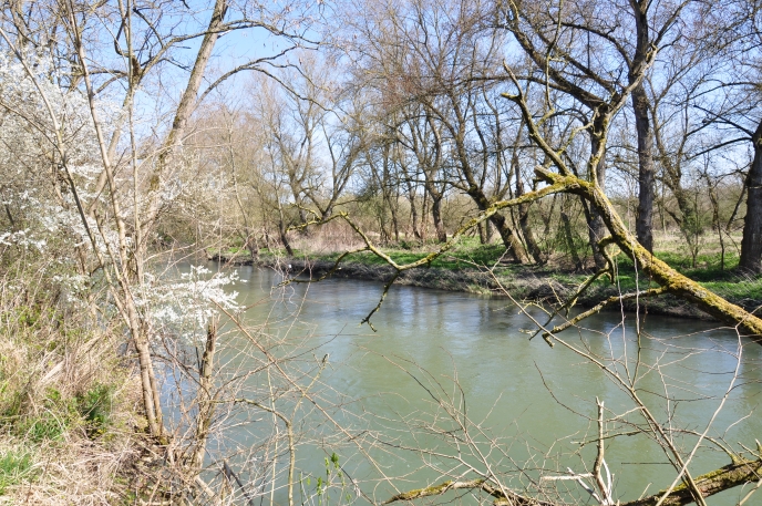 Diapo ferme en plaine Ill