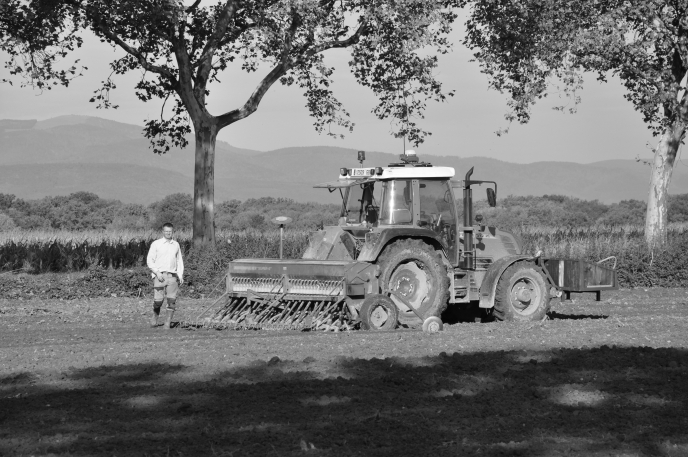 diapo reprise des semis