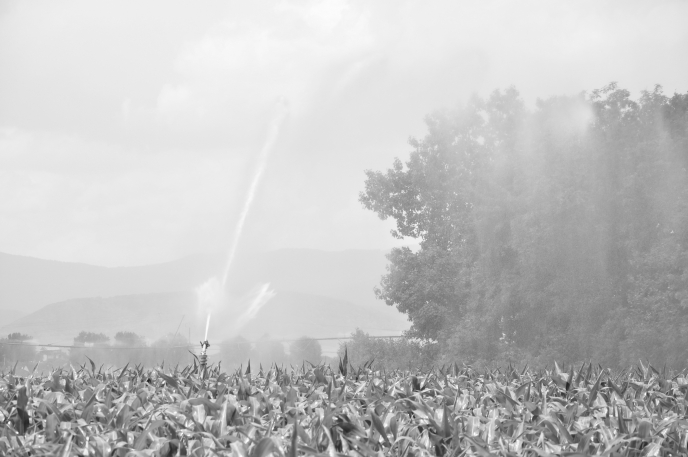 diapo Grandes eaux Versailles