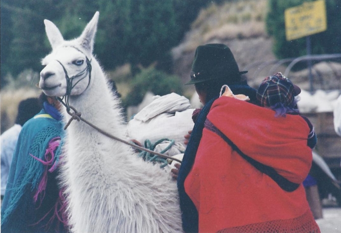 Diapo Equateur lama