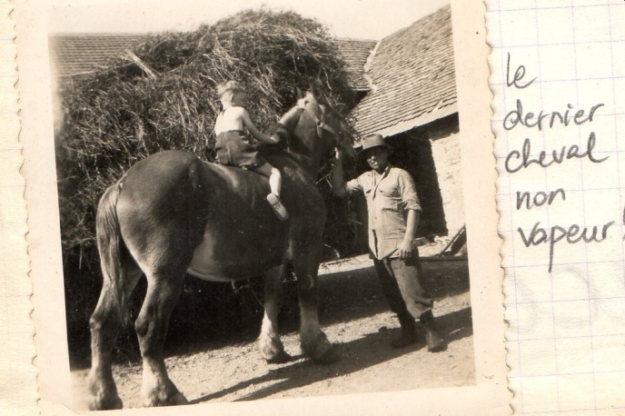 dernier cheval