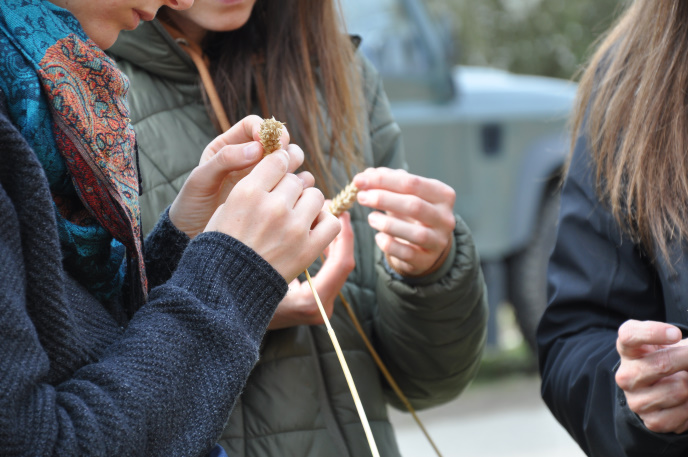 Diapo visite stagiaires 5