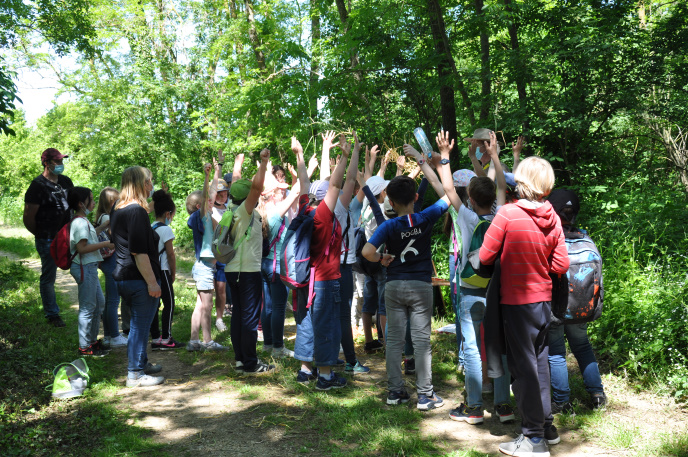 Diapo classe primaire VF