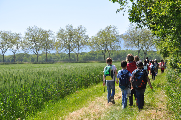 Diapo classe primaire retour